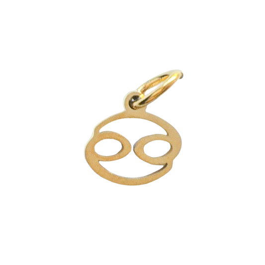 Gold Zodiac Charm