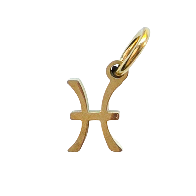 Gold Zodiac Charm