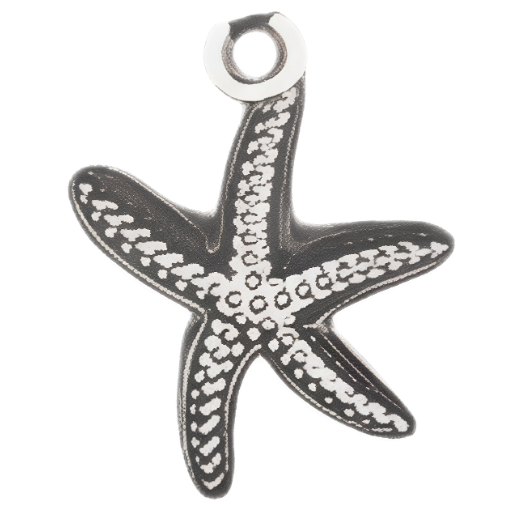 Silver Charm Pendant_ 105