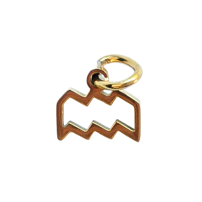 Gold Zodiac Charm