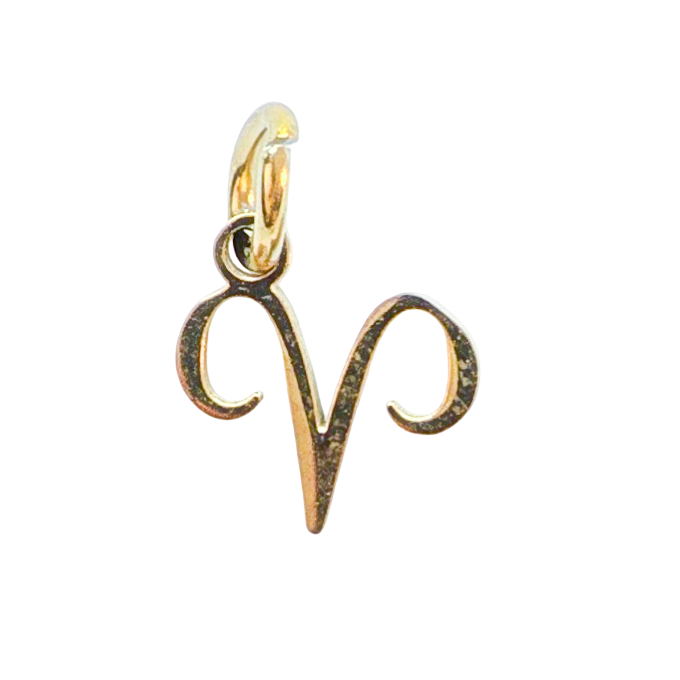 Gold Zodiac Charm