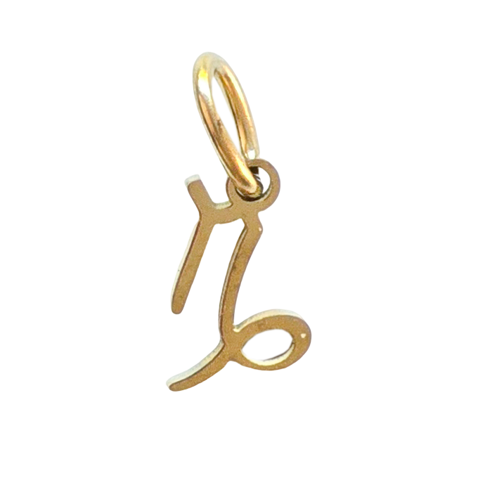 Gold Zodiac Charm