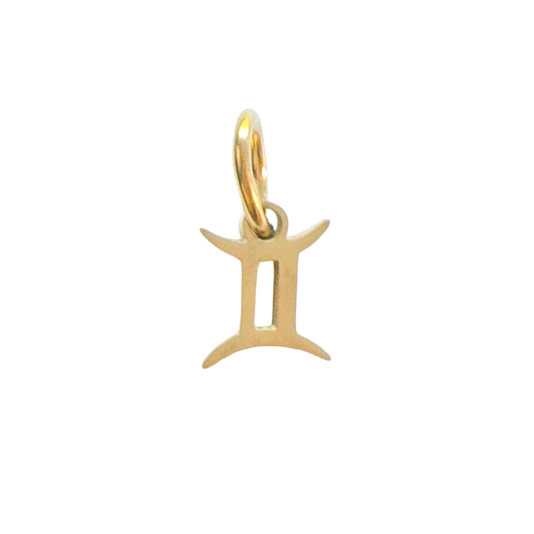 Gold Zodiac Charm