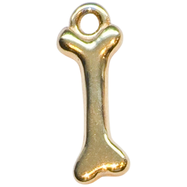 Gold Bone Charm