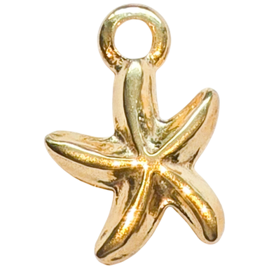 Gold Petite Starfish Charm