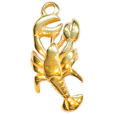 Gold Scorpion Charm