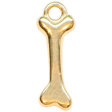 Gold Simple Bone Charm