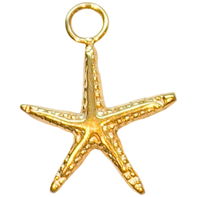 Gold Smooth Starfish Charm