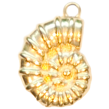 Gold Swirl Nautilus Charm