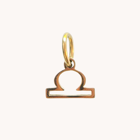 Gold Zodiac Charm