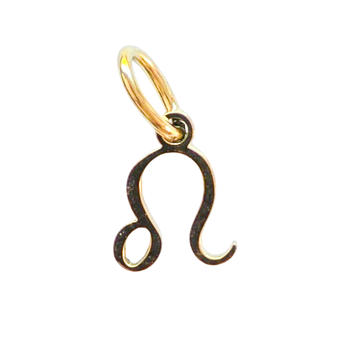 Gold Zodiac Charm