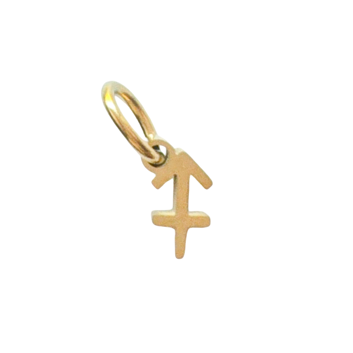 Gold Zodiac Charm