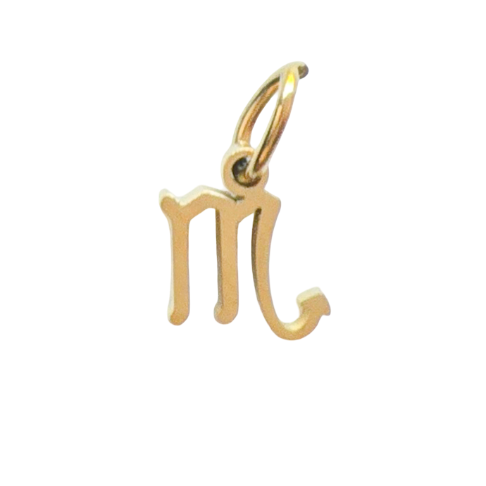 Gold Zodiac Charm