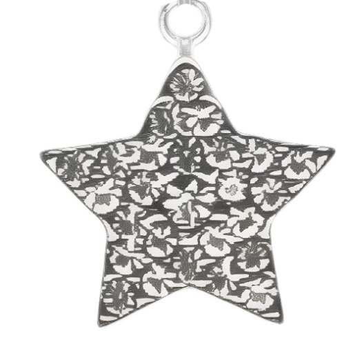 Silver Charm Pendant_ 112