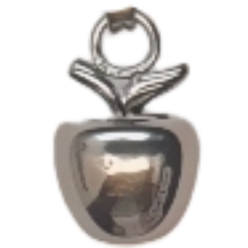 Silver Charm Pendant_ 41