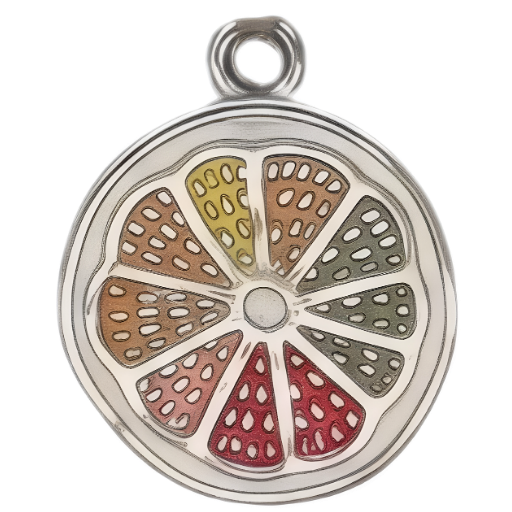 Silver Charm Pendant_ 55
