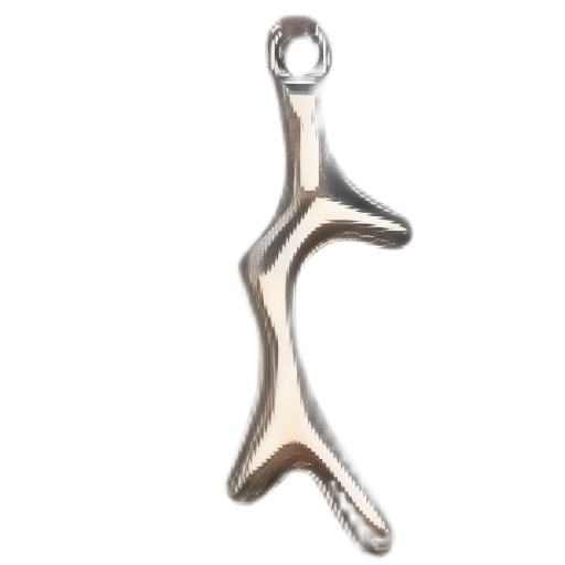Silver Charm Pendant_ 71