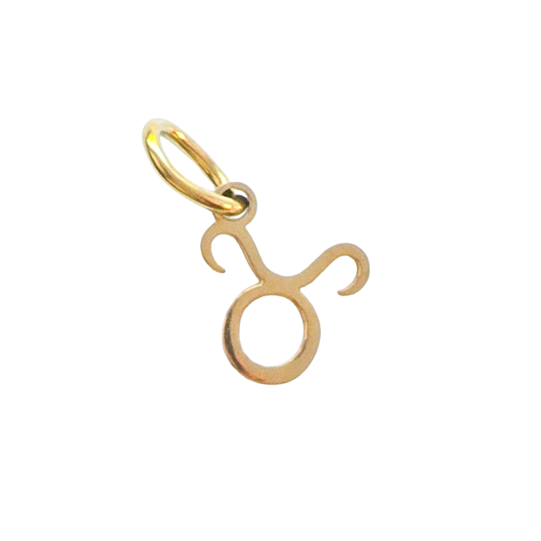 Gold Zodiac Charm